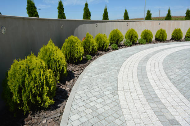 Best Professional Driveway Pavers  in Kinnelon, NJ